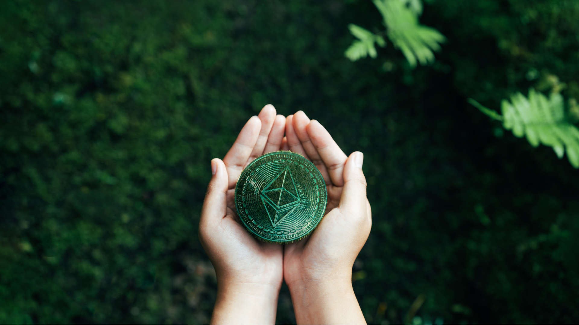 Portafolio - GREIMP 2025 (ES) (4)